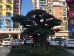 -一本魅·日式料理