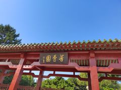 -北陵公园