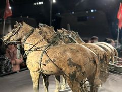 -秦始皇帝陵博物院-丽山园
