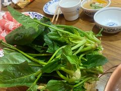 -东镇老火锅(高新区店)