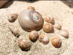 -辽宁团山国家级海洋公园