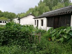 -溱湖国家湿地公园