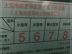 -共青国家森林公园-南大门停车场