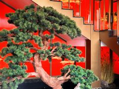 -海月轩海鲜豆捞(紫金塔店)