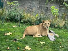 -北京野生动物园