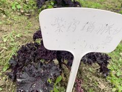 -中国天府农业博览园