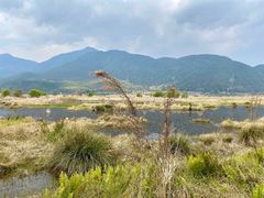 -腾冲北海湿地