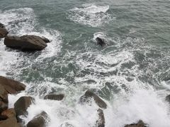 -广东惠东海龟国家级自然保护区