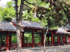 -长春市南湖公园