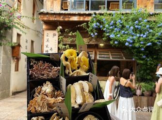 大理这个菌子火锅暖胃又暖心