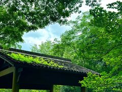 -中国茶叶博物馆(双峰馆区)