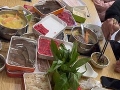 -杨老板·海鲜集市火锅·鲜切牛肉(中防万宝店)