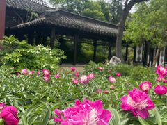 -扬州市茱萸湾风景区