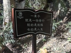 -终南山南五台景区