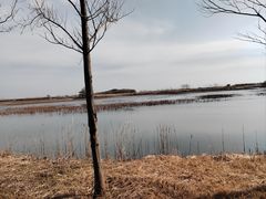 -泗洪洪泽湖湿地景区