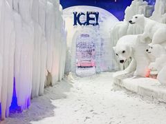 -宁波冰雪大世界(北仑区)