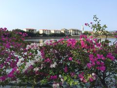 三亚凯莱仙人掌度假酒店-三亚亚龙湾凯莱仙人掌度假酒店