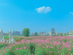 -汉江湾体育公园