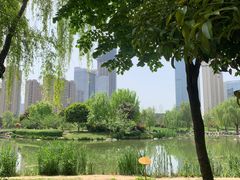 -木塔寺遗址生态公园