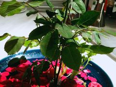 -千百味红餐厅·江西菜(绿地双子塔店)