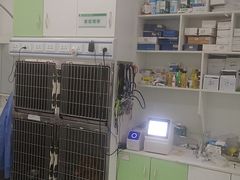 -汪喵宠物医院·骨科心脏影像·犬猫急重症ICU诊疗中心(成华分院)