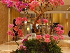 -杭州城中香格里拉大酒店