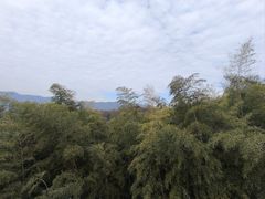 -陶祖圣境风景区