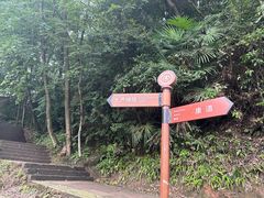 -凤栖山