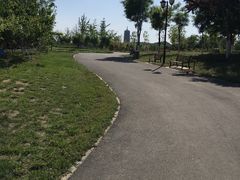 -永定河休闲森林公园