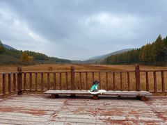 -塞罕坝国家级自然保护区