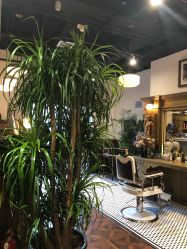 -TWOFACE 双面理发馆