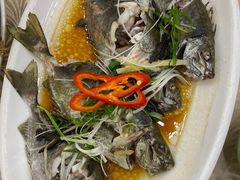 -湛江渔港·大排档(乐园路总店)