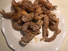 -海儀美食楼(湾仔海鲜街店)