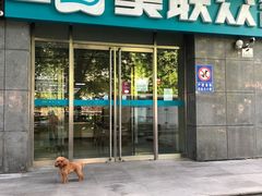 -美联众合动物医院·24h转诊中心