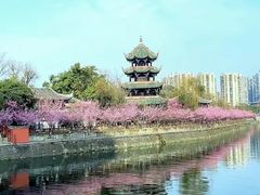 -望江楼公园