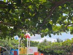 -三亚亚龙湾天域度假酒店