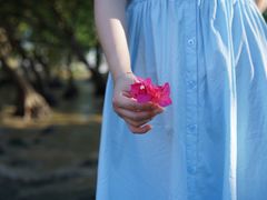 -宝安西湾红树林湿地公园