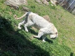 -上方山森林动物世界