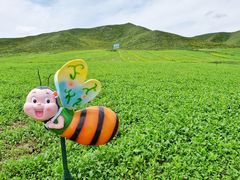 -扁都口生态休闲旅游区