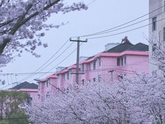 -永乐路-路侧停车场