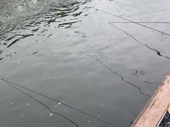 -DGE季风钓虾营地·团建·聚会