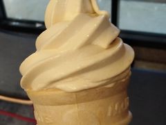 甜品站山茶花风味圆筒-麦当劳(天兴罗斯福店)