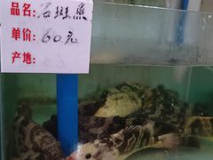 -海恋园海鲜餐馆