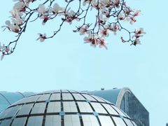 -西湖文化广场