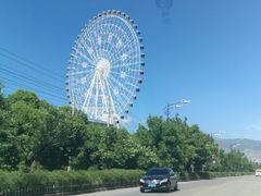 -特克斯八卦城