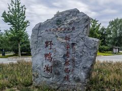 -野鸭湖国家湿地公园