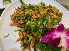 韭菜炒河虾-蒋烤鴨(东苑店)