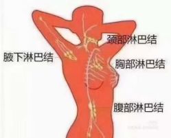 -香薇妮丝女子减肥院