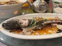 -鹭园酒家·四十年老字号