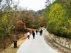 -北京西山国家森林公园